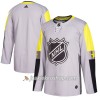 Miehille 2018 NHL All-Star Pelipaita Metro Division Blank Adidas Harmaa Authentic